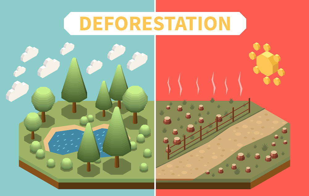 Illustratie die weergeeft wat de effecten van ontbossing zijn